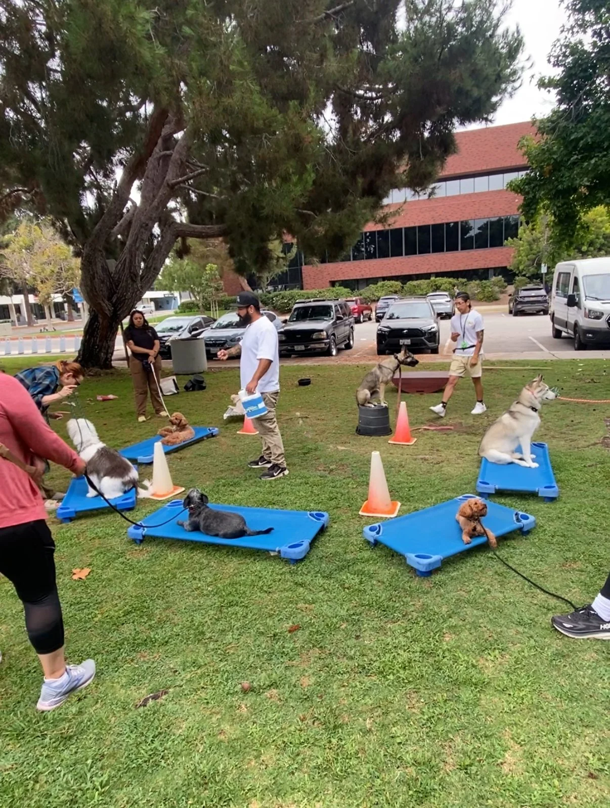 Mark group class.jpg