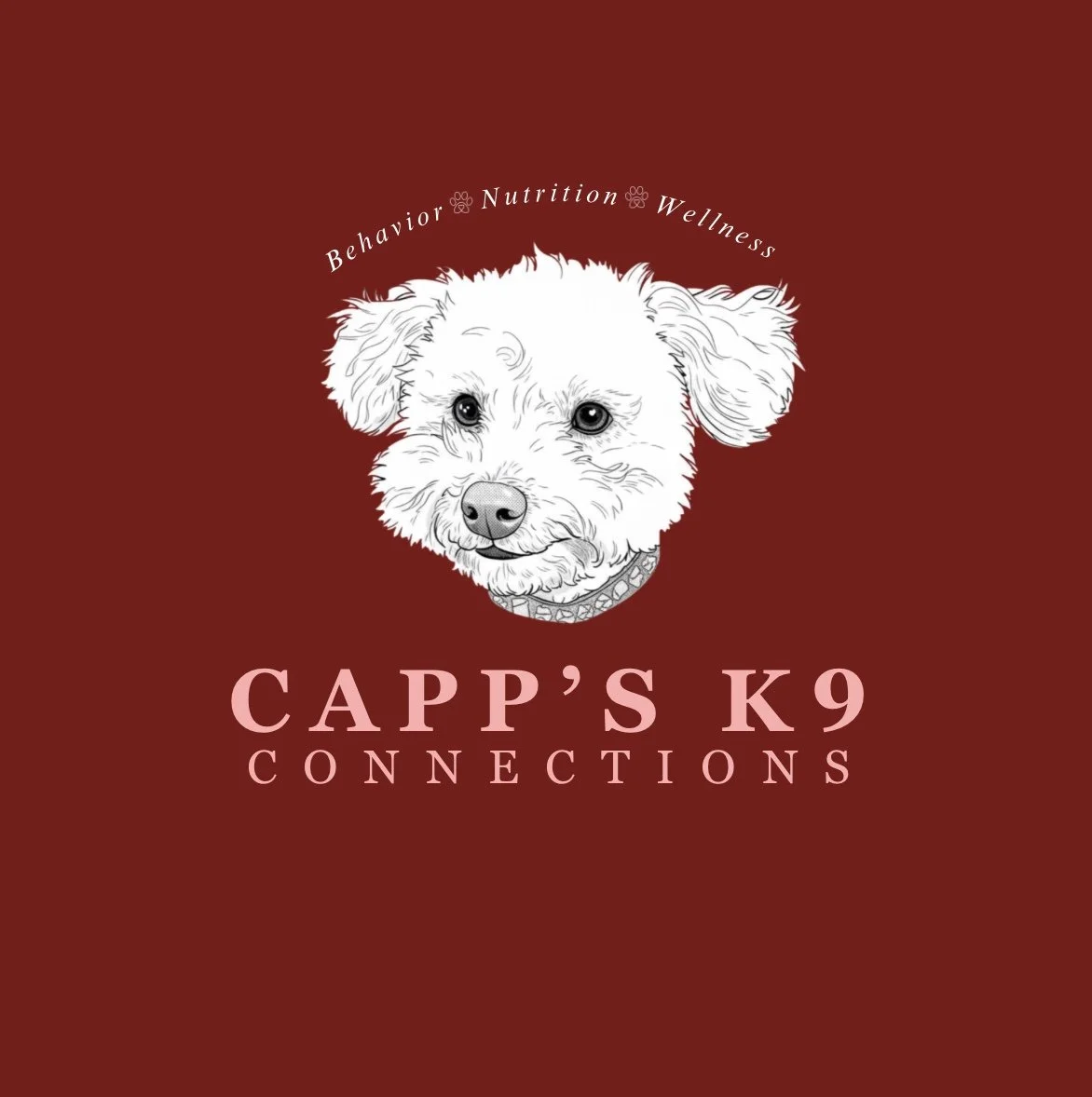 Initial Assessment/Consultation