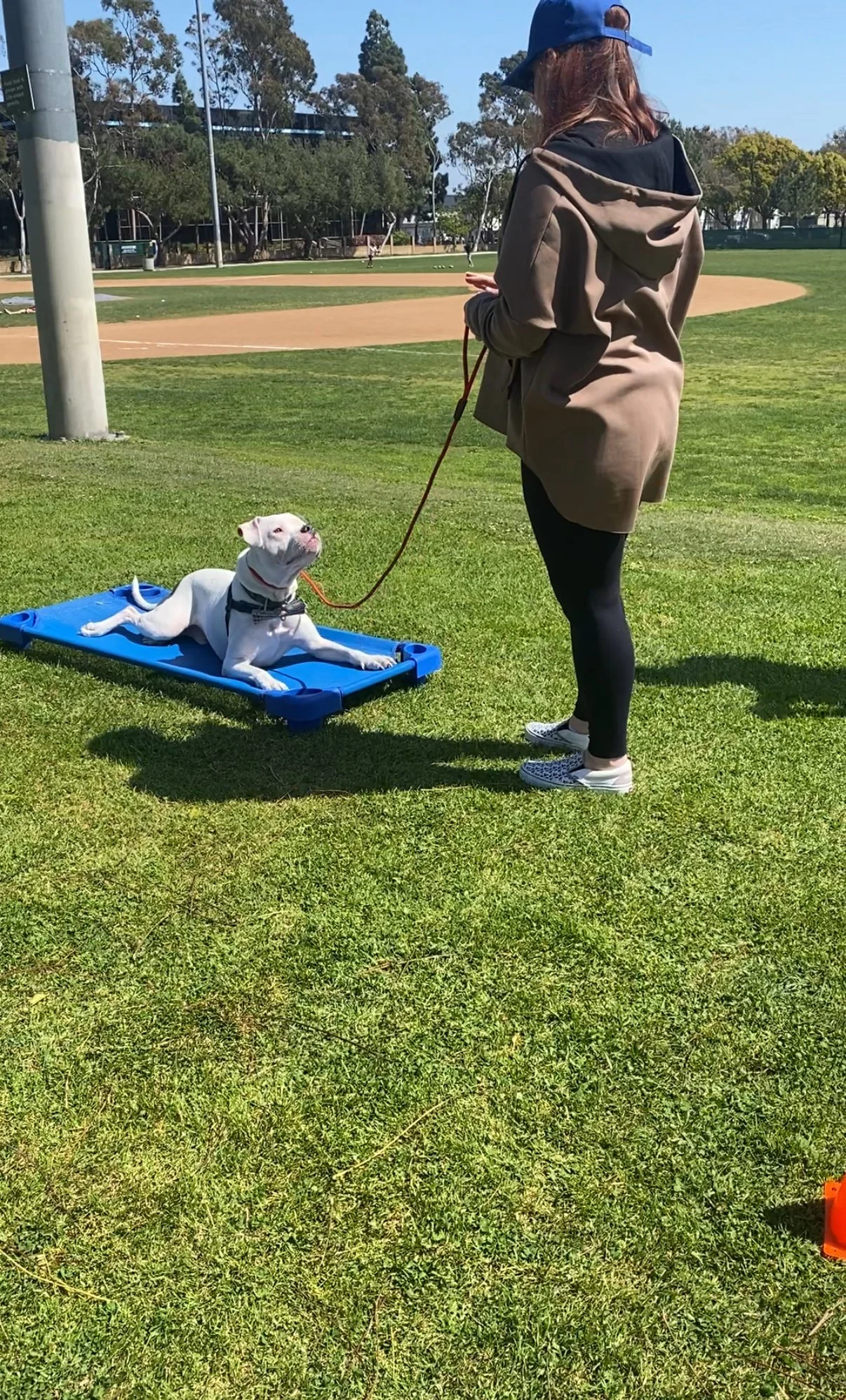 jessica and paul.jpg