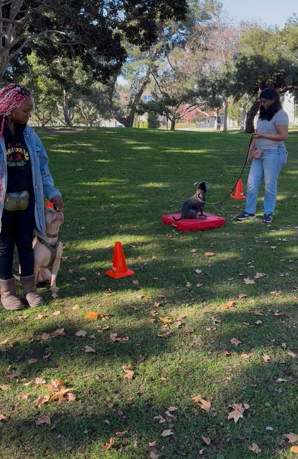 RELATIONSHIP REFRESH