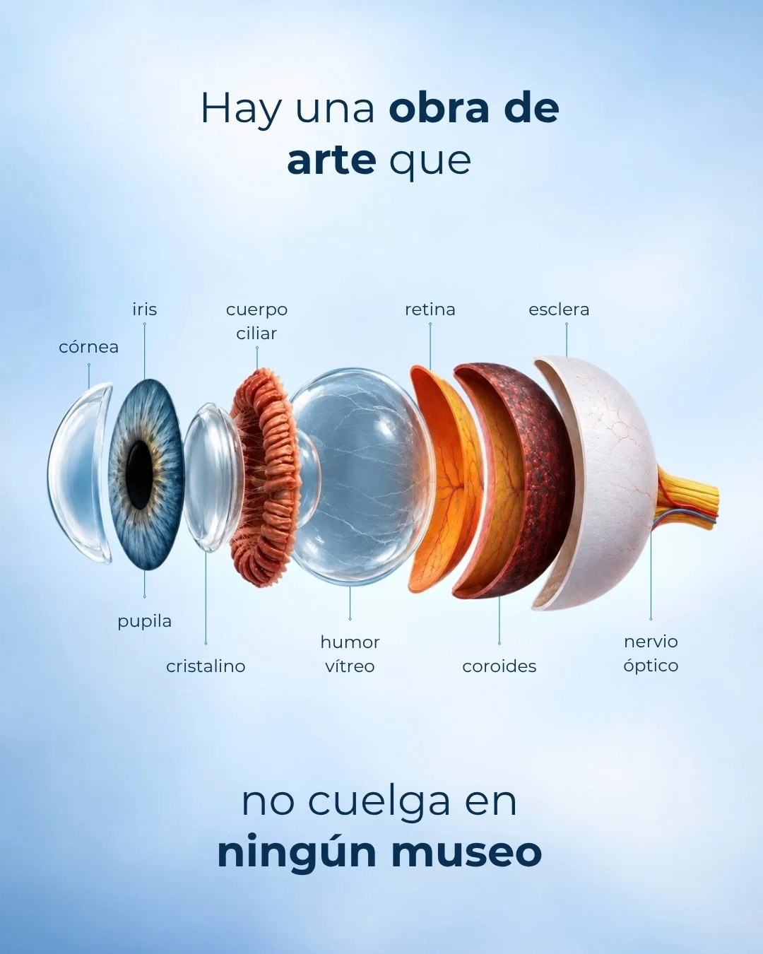 Hay una obra de arte que no cuelga en ning&uacute;n museo. La llev&aacute;s puesta todos los d&iacute;as, trabajando sin pausa, incluso mientras dorm&iacute;s.

Cada segundo jueves de octubre se celebra el D&iacute;a Mundial de la Visi&oacute;n con e