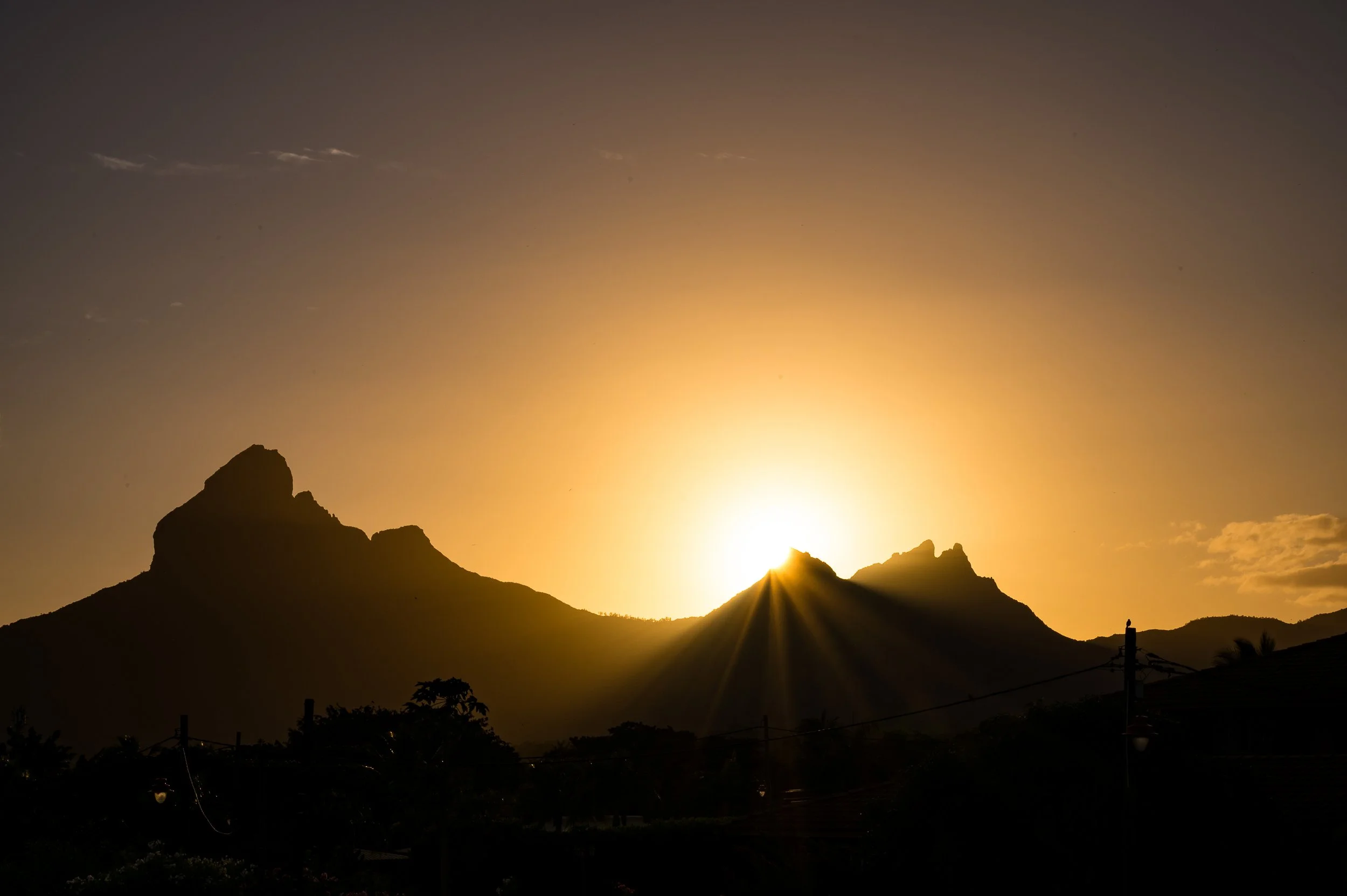 Custom Collaboration