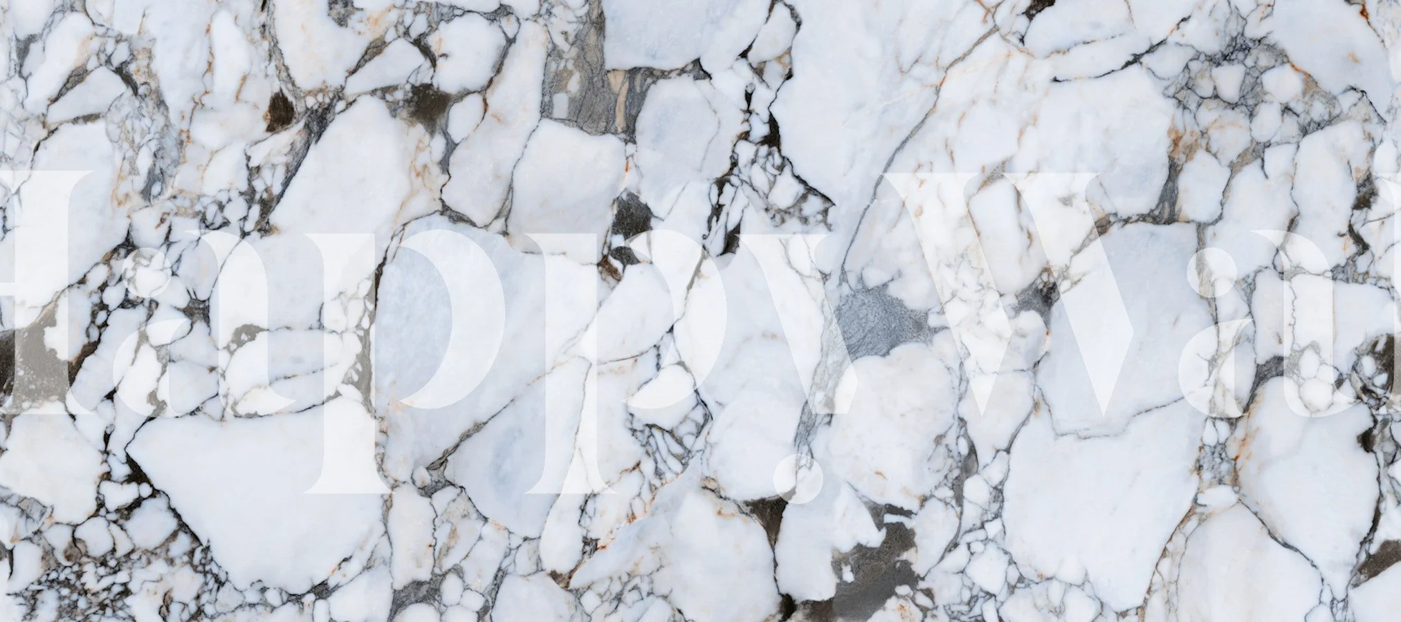 classic_marble_texture_masked (1).jpg