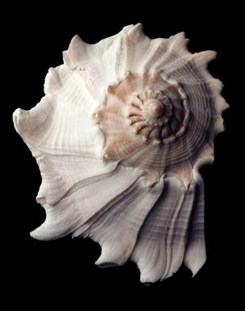 647e79fce4cff5a3e43c5bd1642ef4a0 (1).jpg