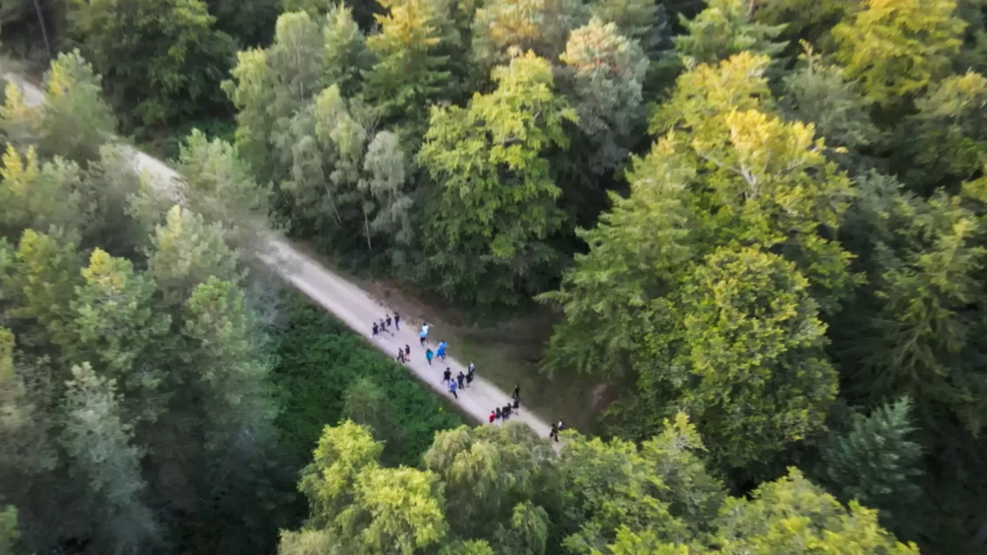 Kids and teens taking part in a hike in the New Forest on our Summer Adventure Camp