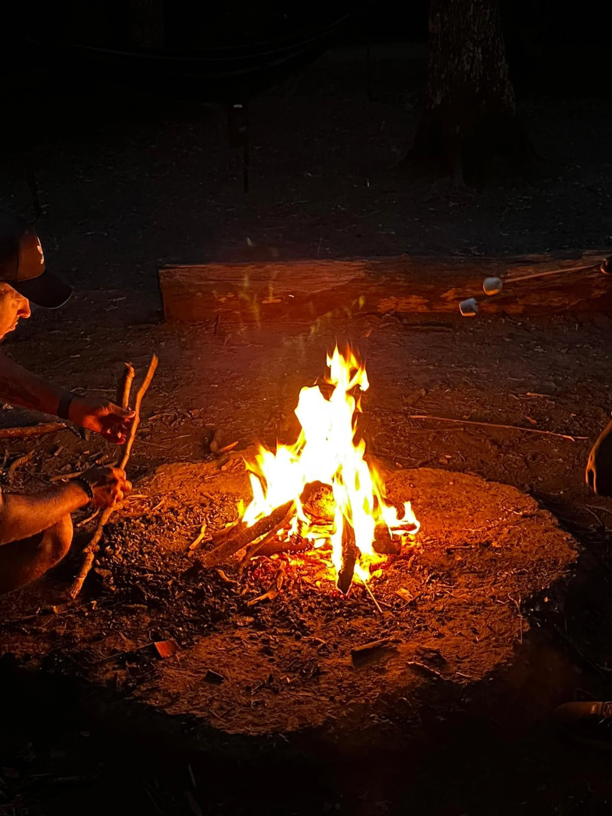 People around a campfire roasting marshmallows at night.