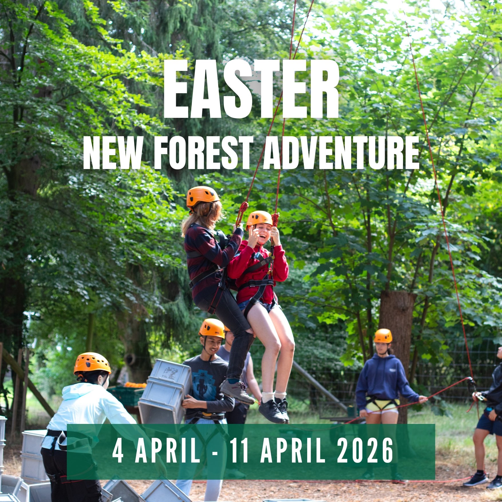 Easter New Forest Camp.jpg