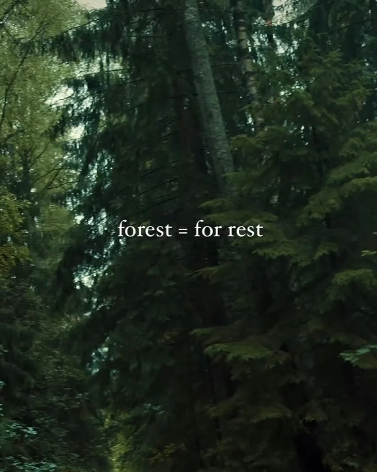 How did I not realise this before? Hidden in plain sight🧚
#treelovers #forestbathing