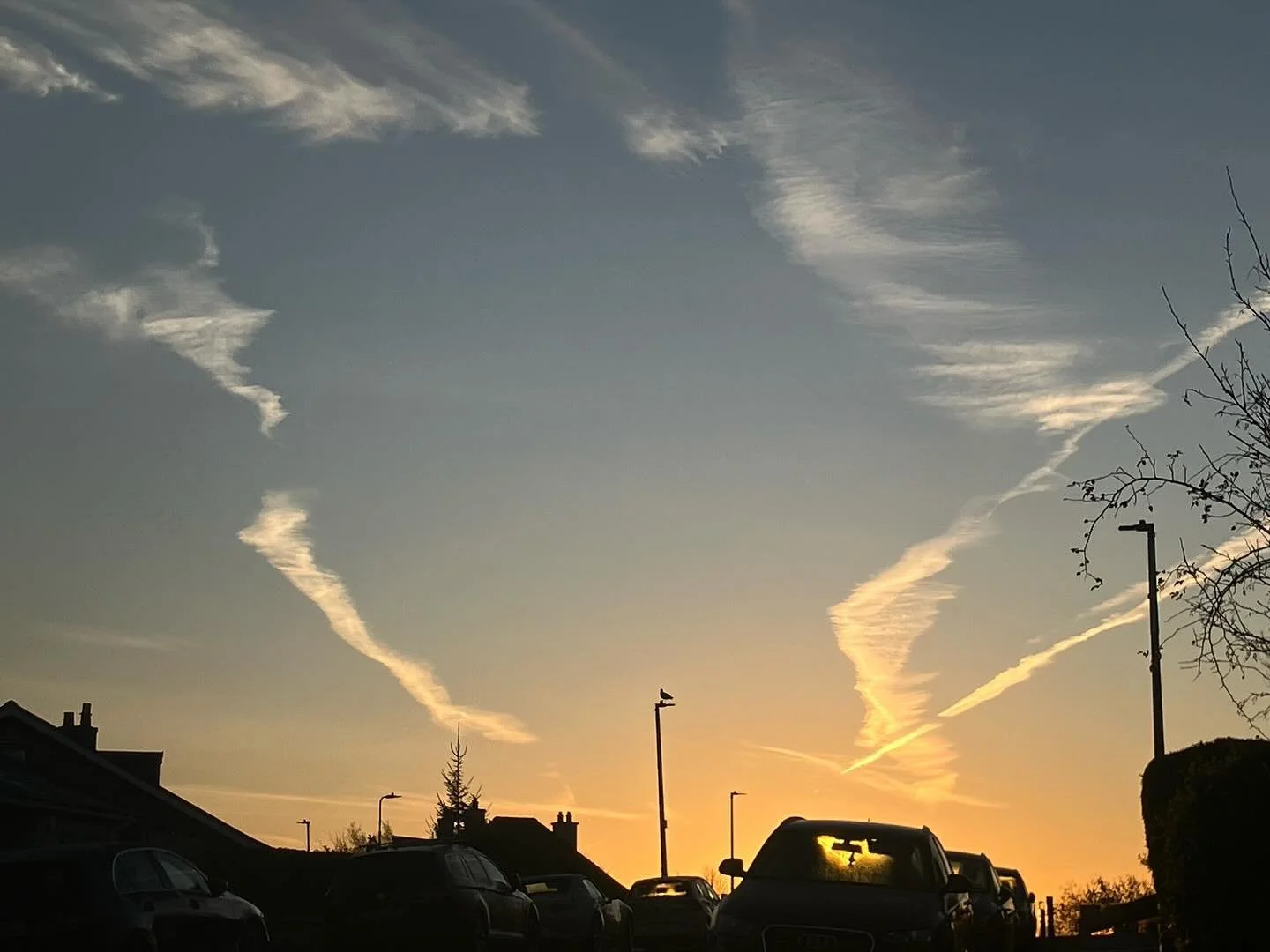 Am I seeing angel wings in the sky?! 🙏🏻✨💫