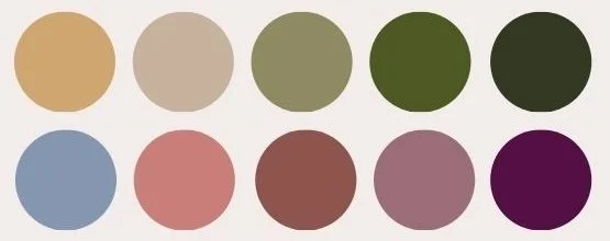 Ten circular color samples arranged in two rows, featuring shades of tan, beige, green, blue, pink, brown, purple, and maroon.