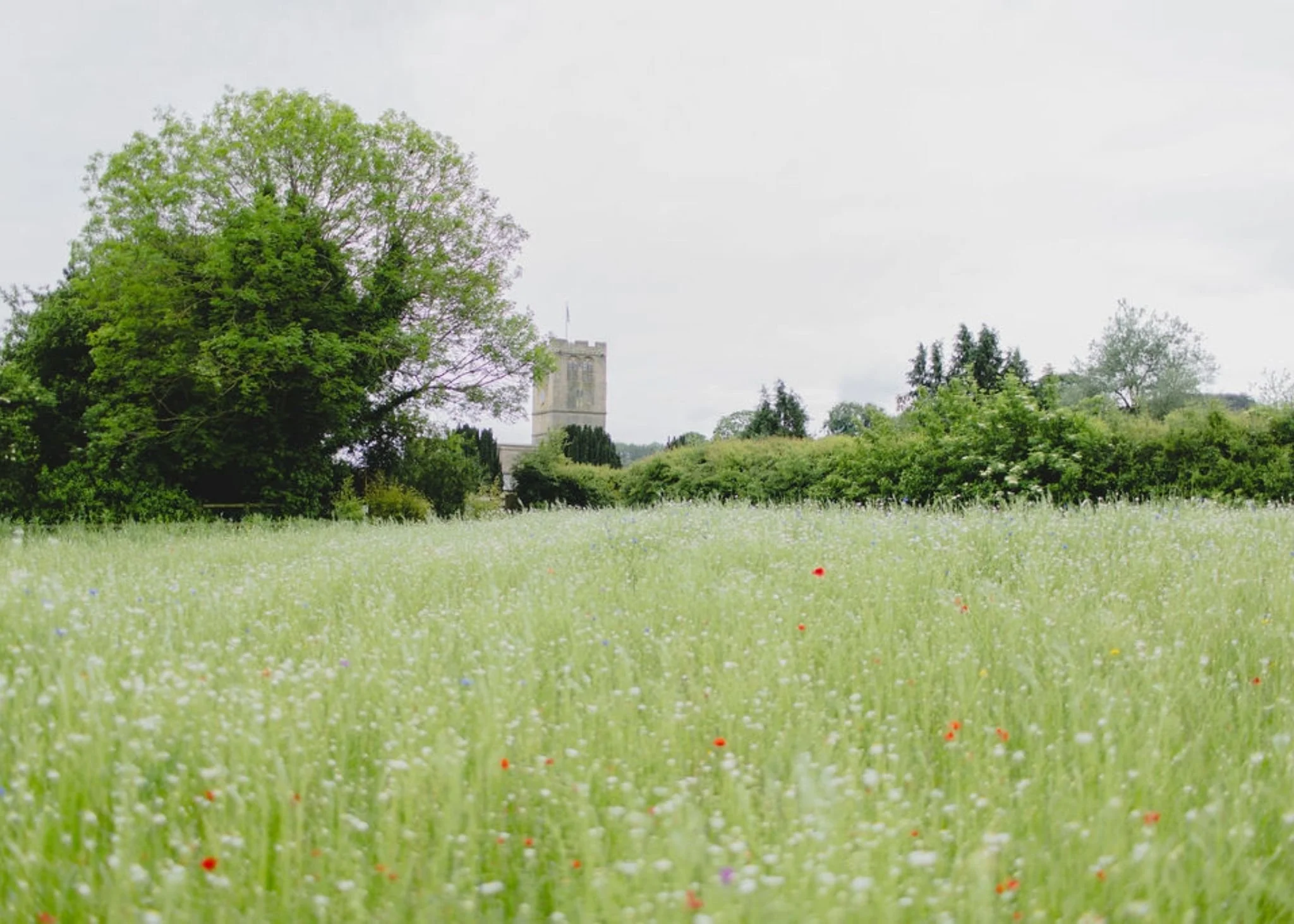Fresh Flower Meadow - Floral Wedding - Private Marquee Wedding - Wedding Florist - The Rarified.jpg