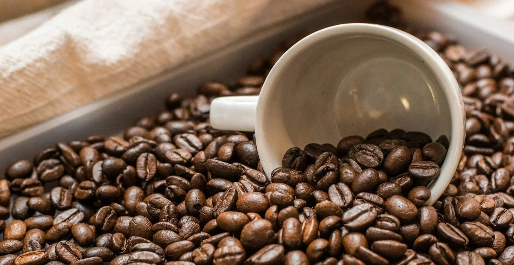 My Mornings Are Mine