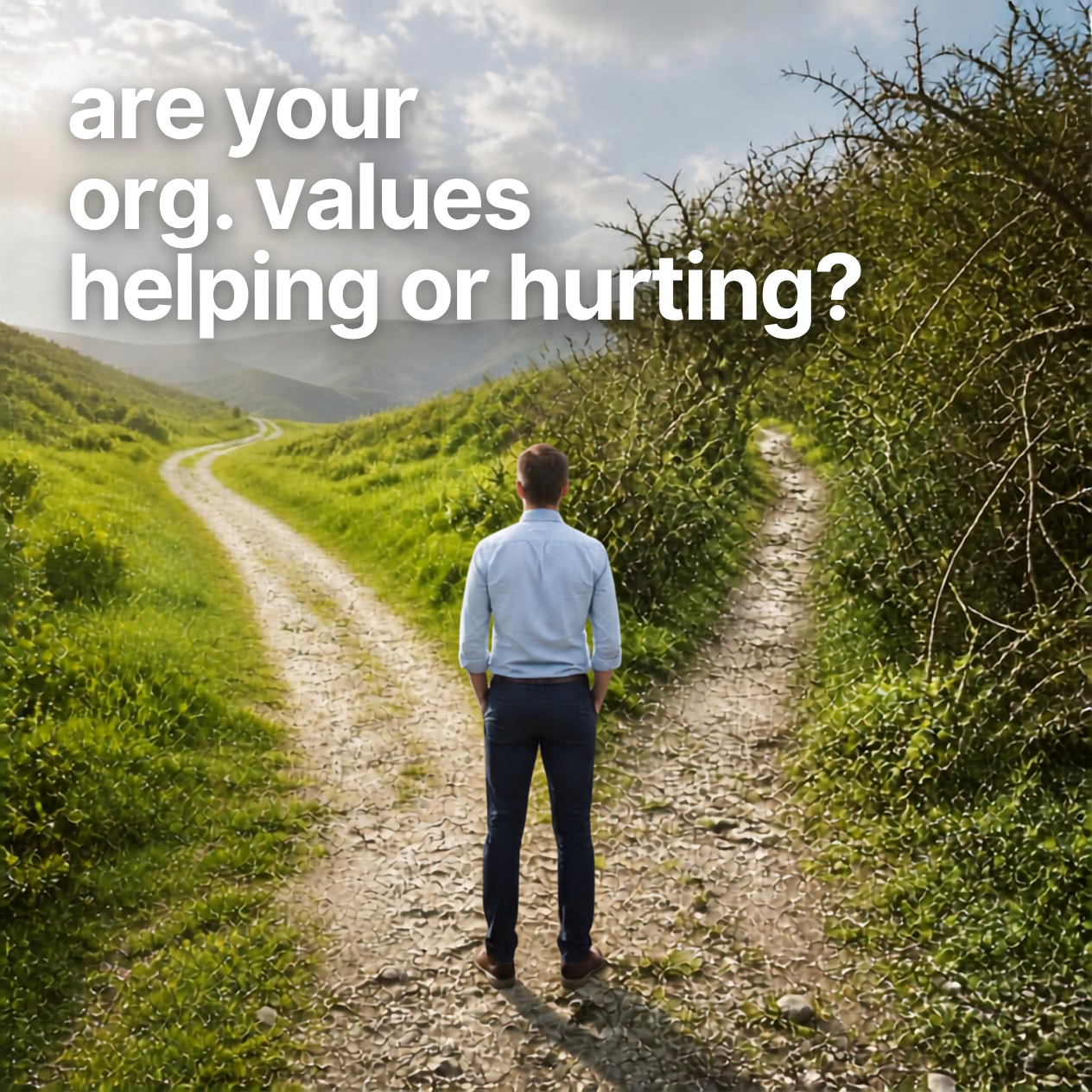 Are your organizational values helping or hurting?