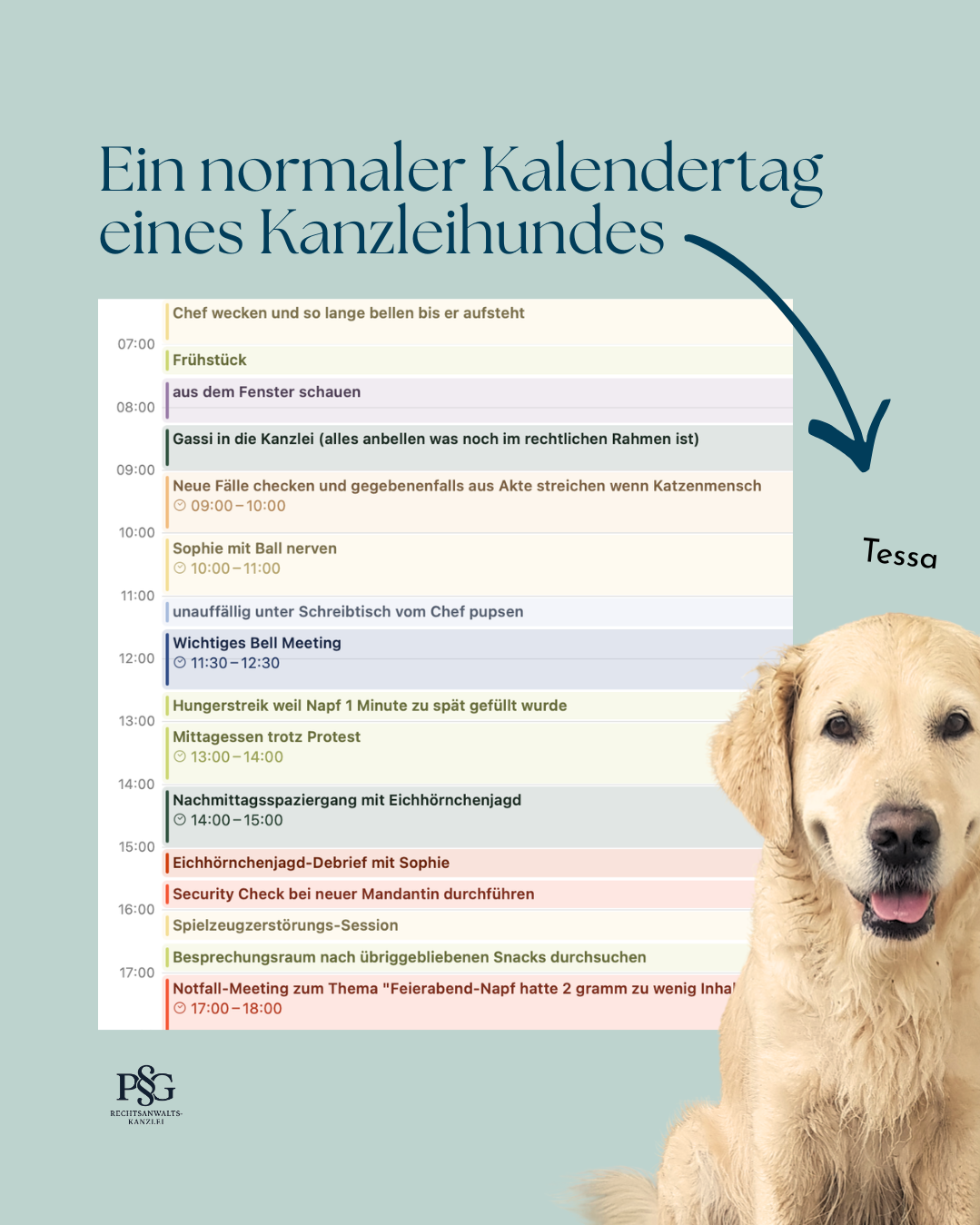 Kanzleihundalltag.png