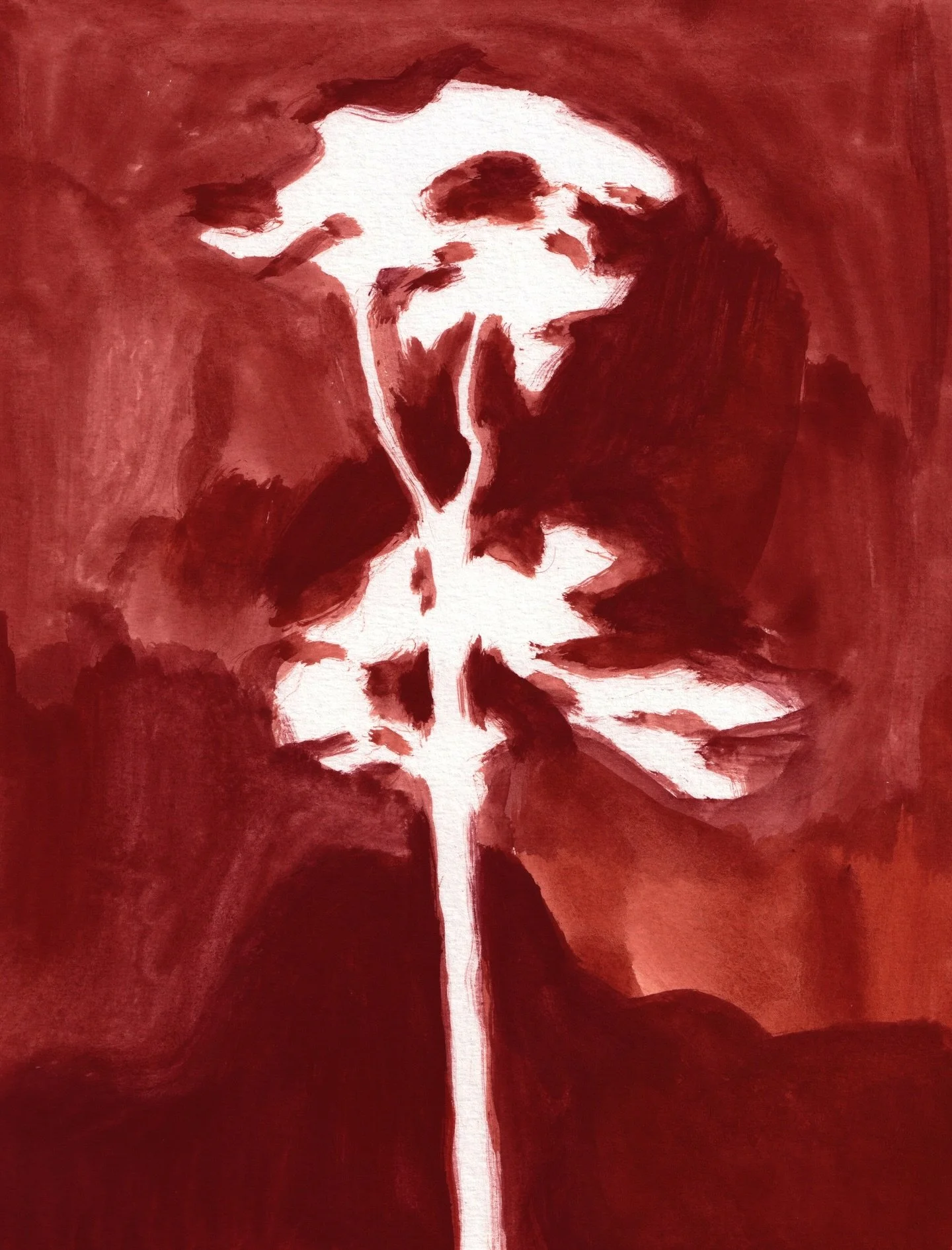 From back when it was warmer