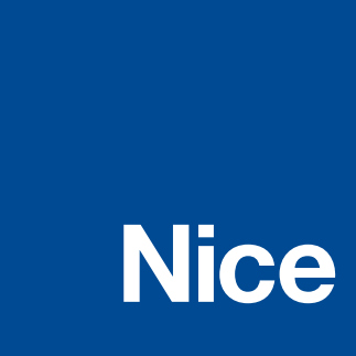 NICE logo.png