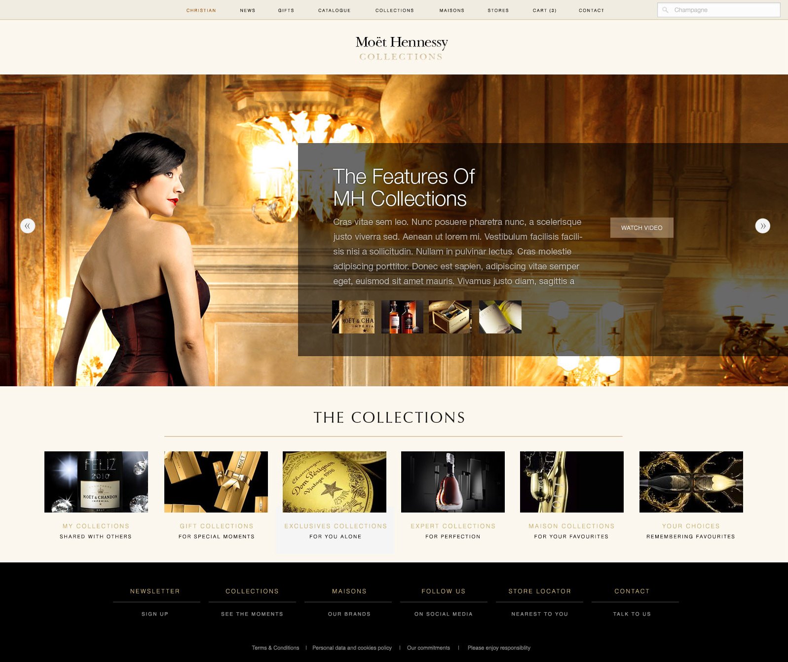 Moet-R3-Home-V3-1_0005_Moet-R3-Home-V3-5-EXTRAS.jpg