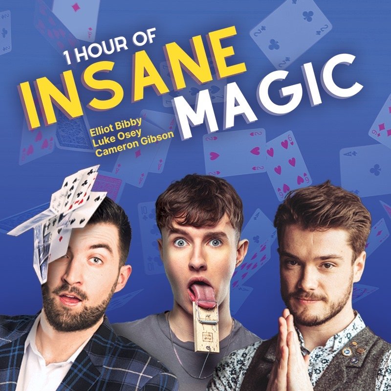 The Insane Magic Show