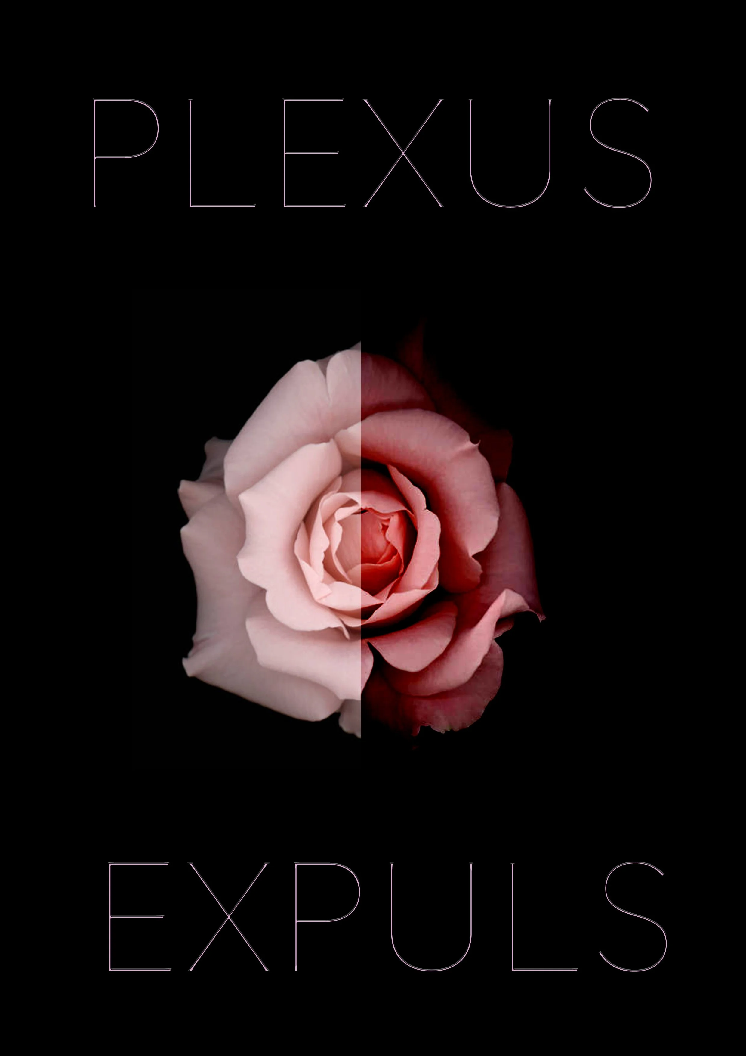 Concert - PLEXUS EXPULS