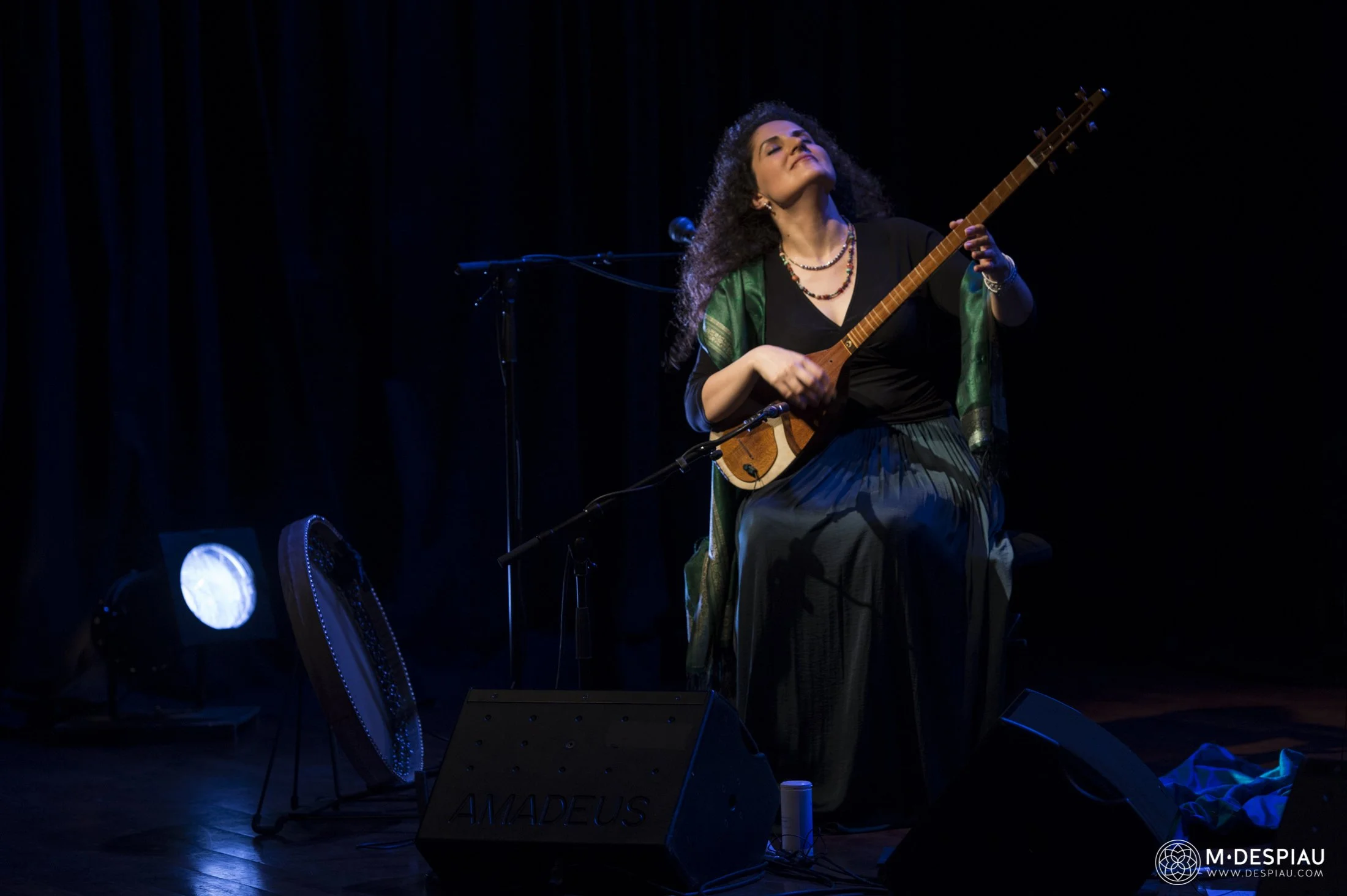 masterclass avec Shadi Fathi / Les musiques kurde et iranienne