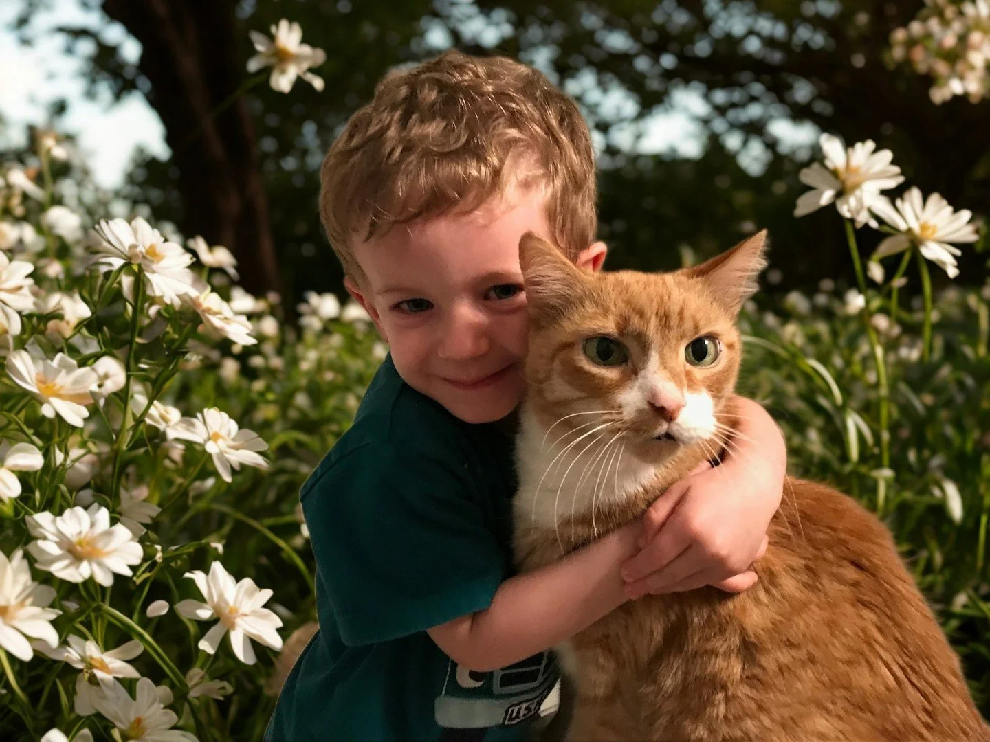 Sometimes you have a pet that feels like a person and not just any person, but a family member. That is what Trout was to me and our family. He came into my life when I was a college student with no business adopting a cat. Taking him in was one of t