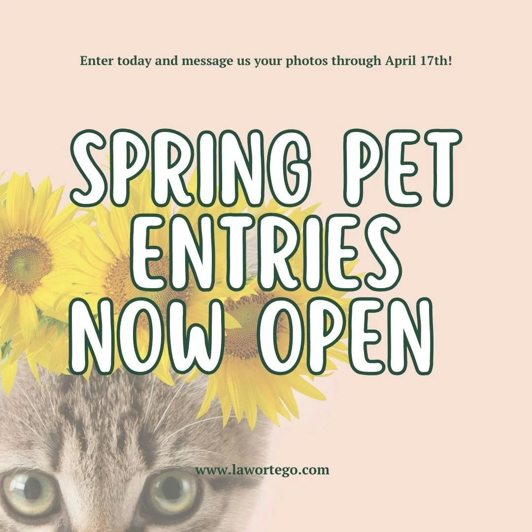 ENTERIES ARE NOW OPEN!

Our Spring Pet Photo Contest has officially begun, and we can&rsquo;t wait to see your pets enjoying the season!

Whether it&rsquo;s a dog playing in the sunshine, a cat lounging in the flowers, or a farm friend out in the pas