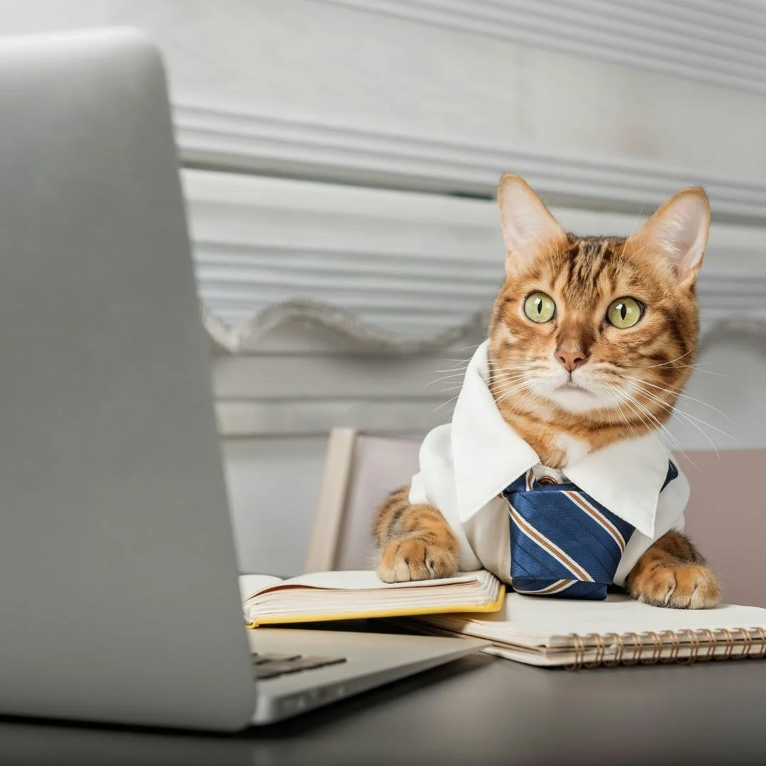 Be honest&hellip; who really runs the house?

We know the truth.

It&rsquo;s the pets.

The one who demands snacks.
The one who takes over the couch.
The one who decides when it&rsquo;s bedtime.

Tell us in the comments&hellip;

👉 What does your pet