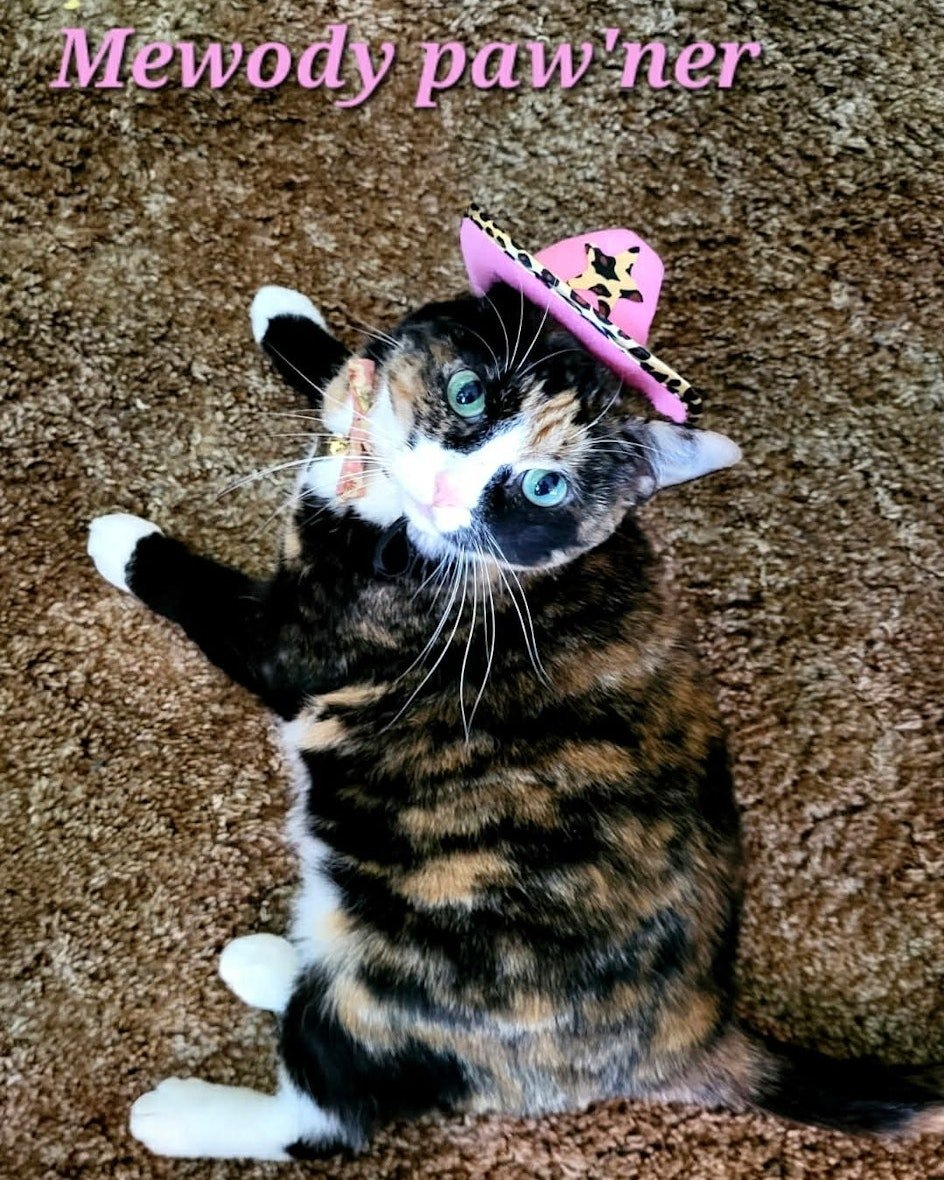 Contest Reminder &mdash; Have You Entered Yet? 🌸

Look at this adorable entry, Mewody Paw&rsquo;ner, showing off her spring style! 🤠🐱

There&rsquo;s still time to join the fun in our Spring Pet Photo Contest, and we&rsquo;d love to see your pets t