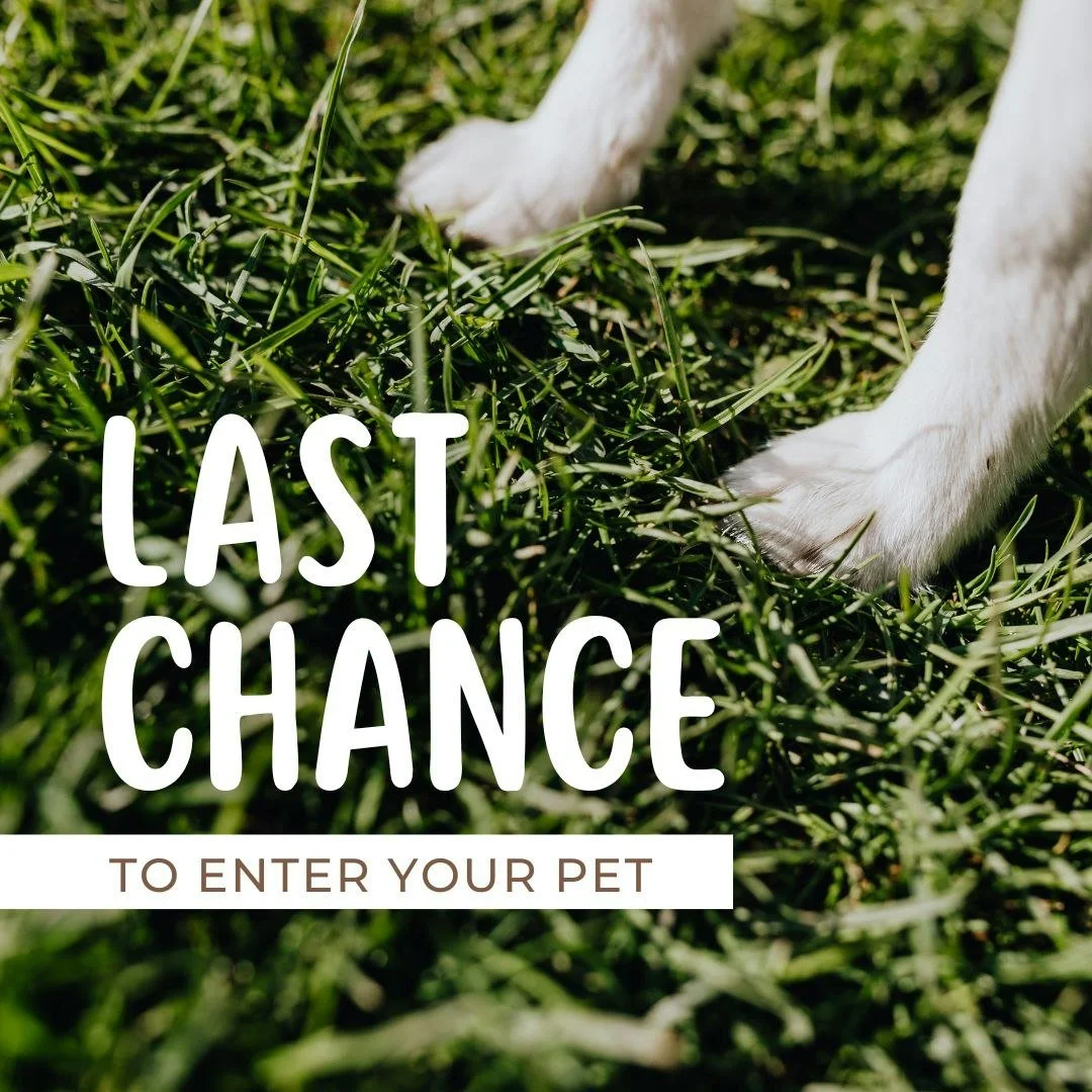 Last chance to enter our Spring Pet Photo Contest!

If you&rsquo;ve been meaning to submit a photo of your pet, now is the time!

Send us a spring-themed photo of your pet through Facebook Messenger, and we&rsquo;ll post it on our page so the communi