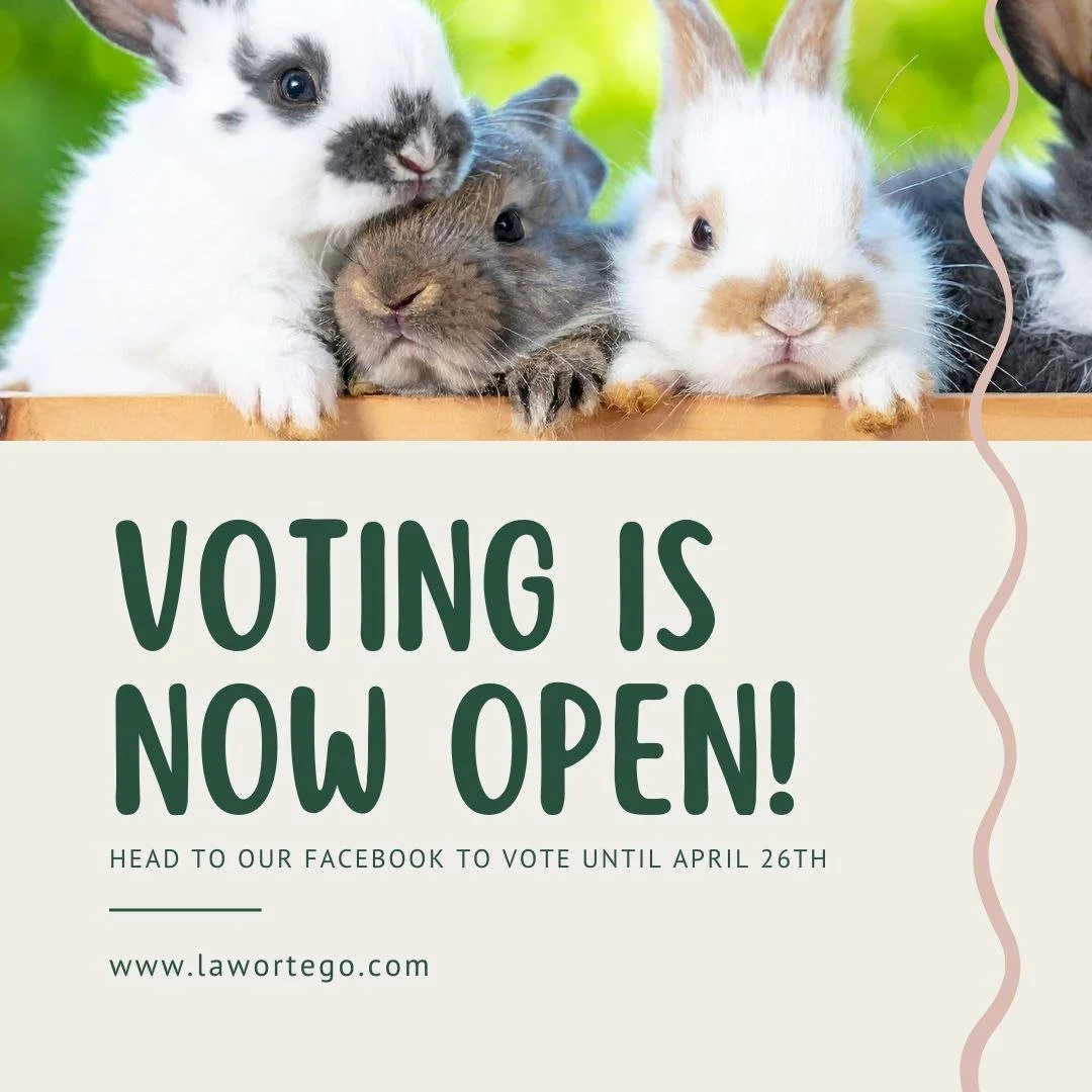 🐾 Voting Is NOW OPEN for Our Spring Pet Photo Contest! 🐾

We have an amazing 46 entries!! It&rsquo;s time for the community to start voting and help us choose our winners!

All of the pet photos have been posted on the Ortego Law Firm Facebook page