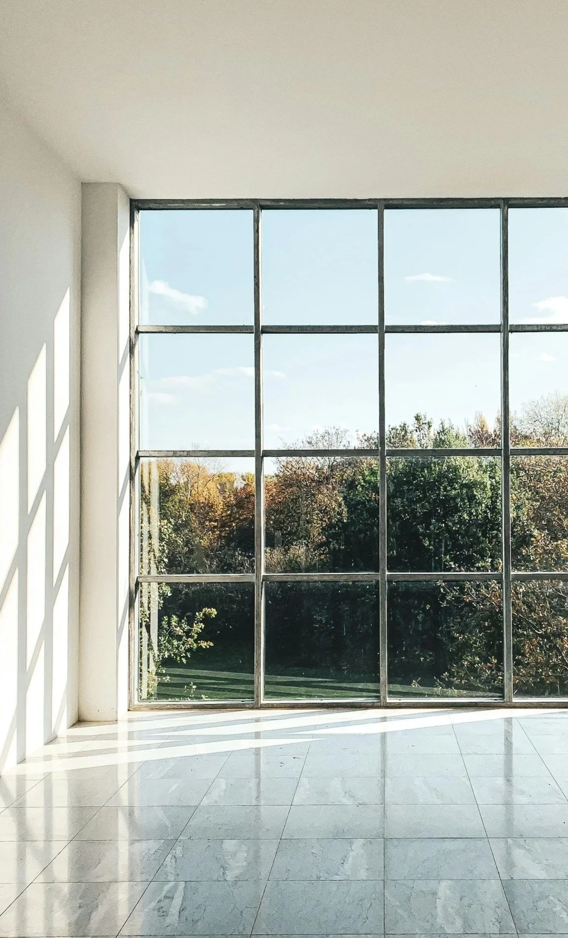 Bright window natural light