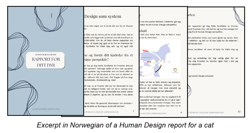 Excerpt from a Norwegian human design report for a cat, showing pages with diagrams and text.