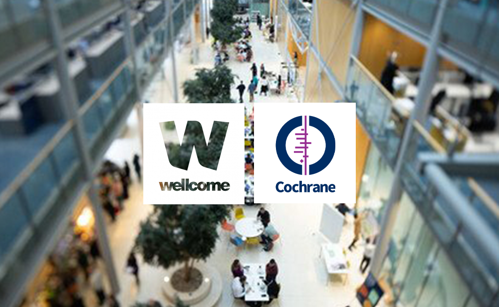 Working with Leadership Epistemological Frameworks from the Global South in Inclusive Leadership Development