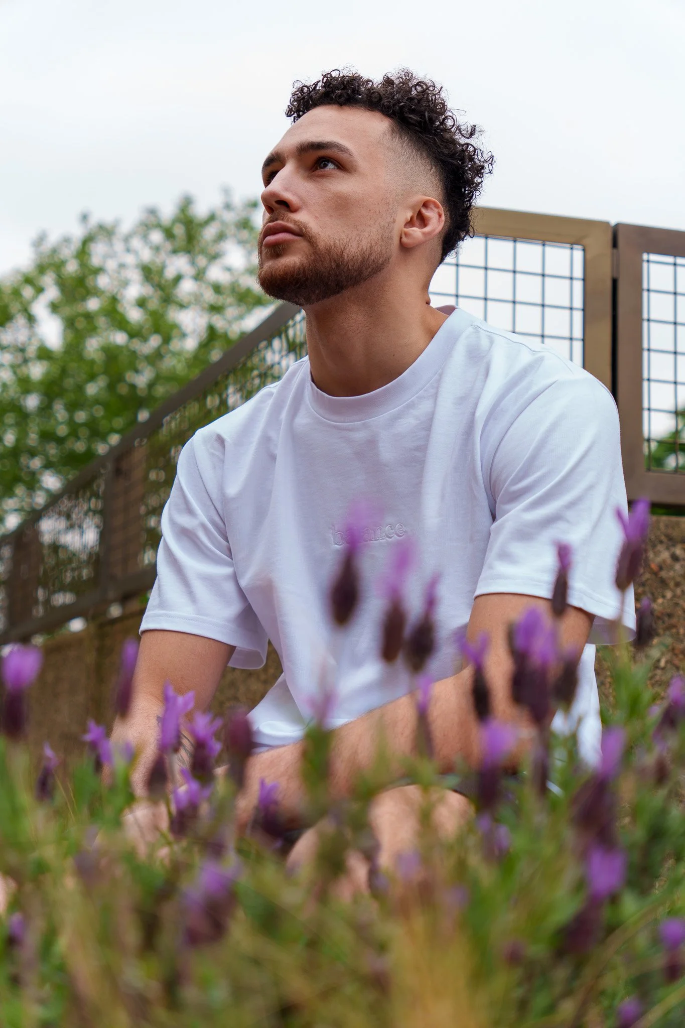 dont look up / tee
