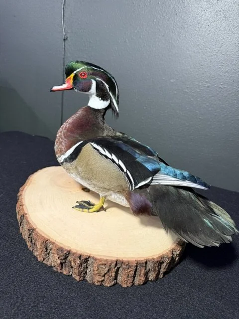 Woodie.jpeg