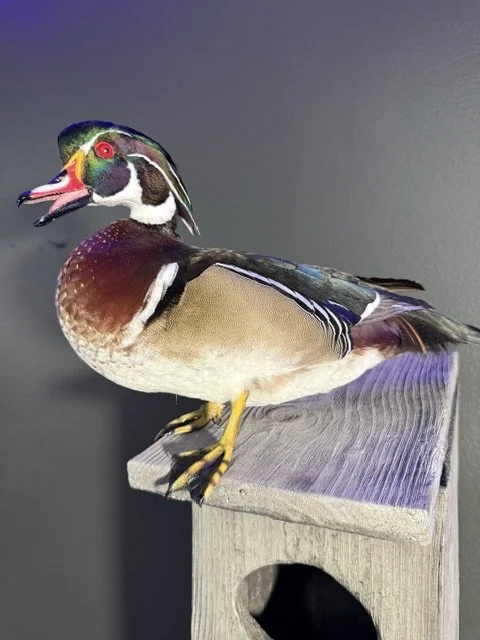 another woodie.jpeg
