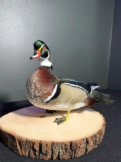 Woodie 2.jpeg
