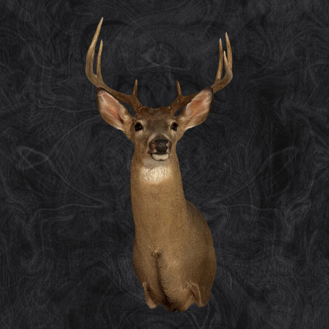 winters deer black.png