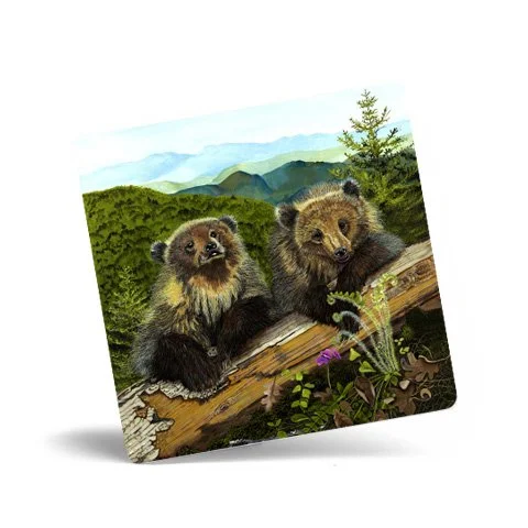Square Coasters