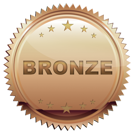 bronze sponsor.png