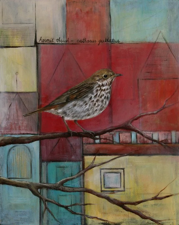 Hermit Thrush, oil on canvas, 20x16, SOLD