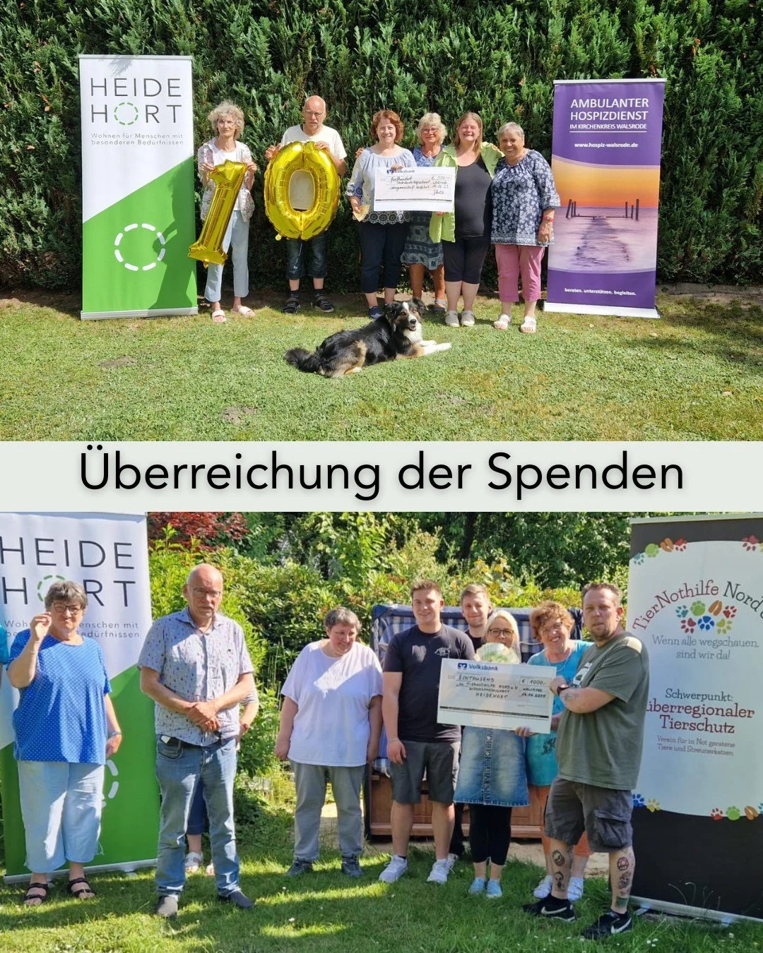 Letzte Woche konnten wir zwei wunderbaren Unternehmen einfach mal DANKE für ihre Arbeit sagen 🫂 Wir haben die Einnahmen der Tombola von unserem Jubiläum an den @hospizdienst_walsrode_ambulant und die @tiernothilfenord gespendet😊
Danke an