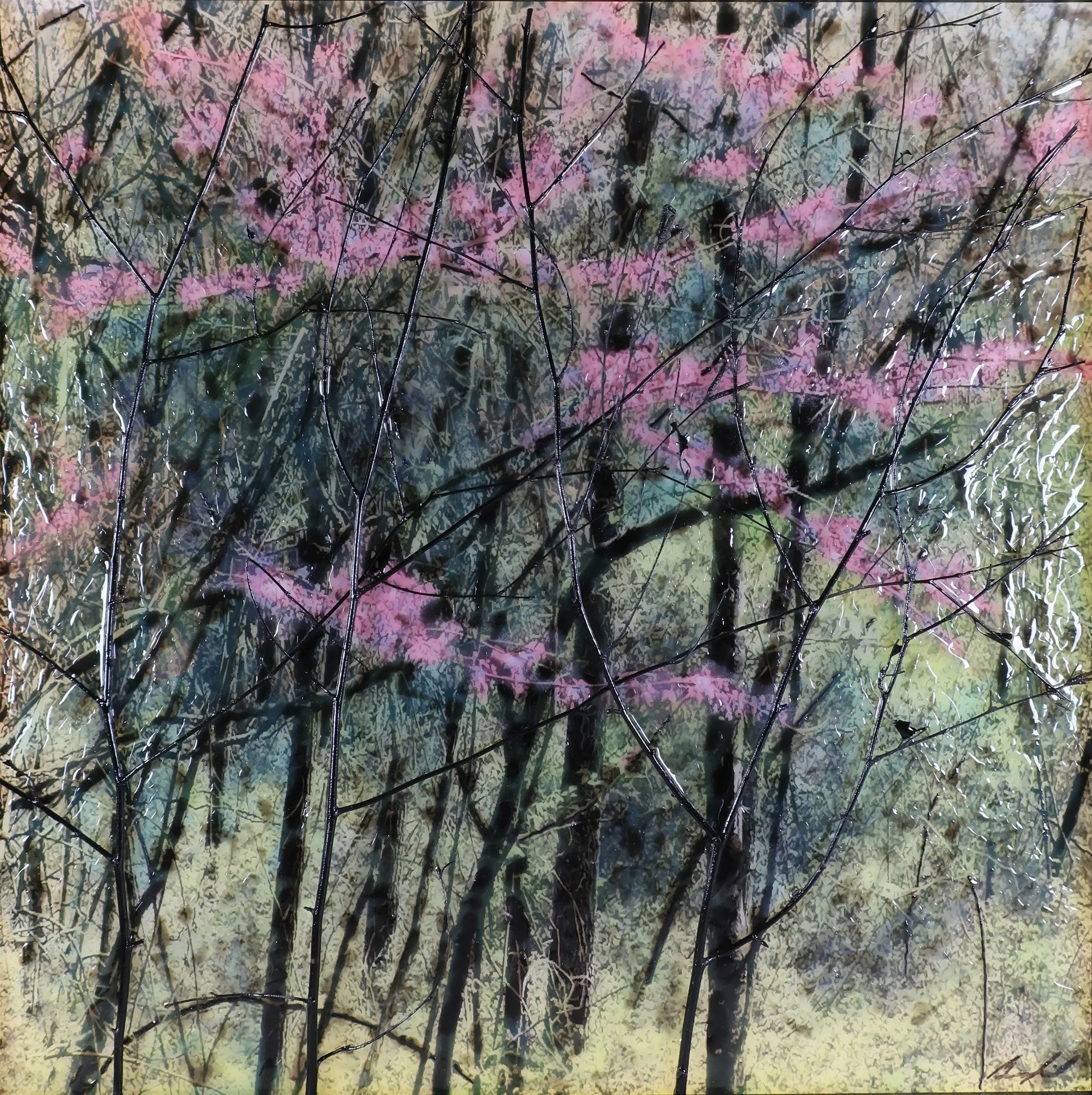 Spring Redbuds $900 29"x29"