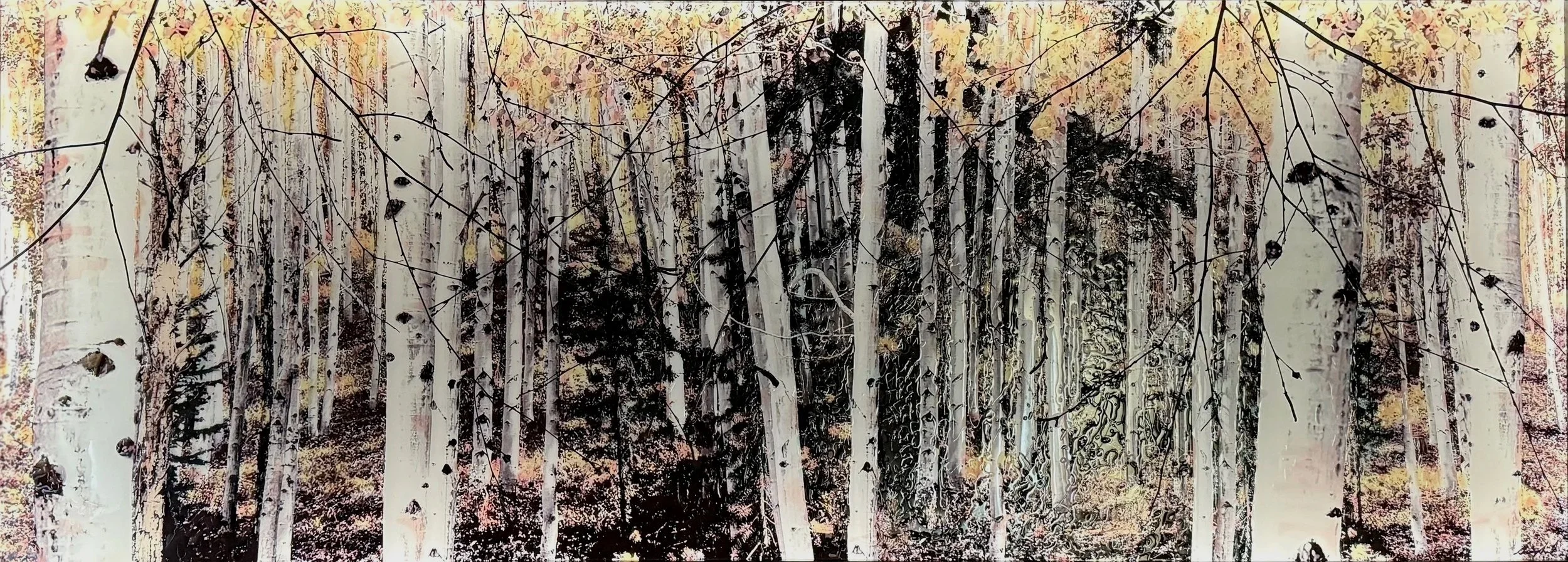 Boreas Pass $2900 29"x76"