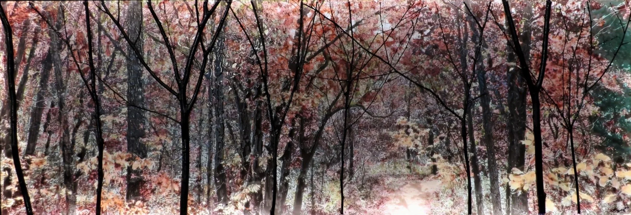Tomahawk Trail (SOLD)