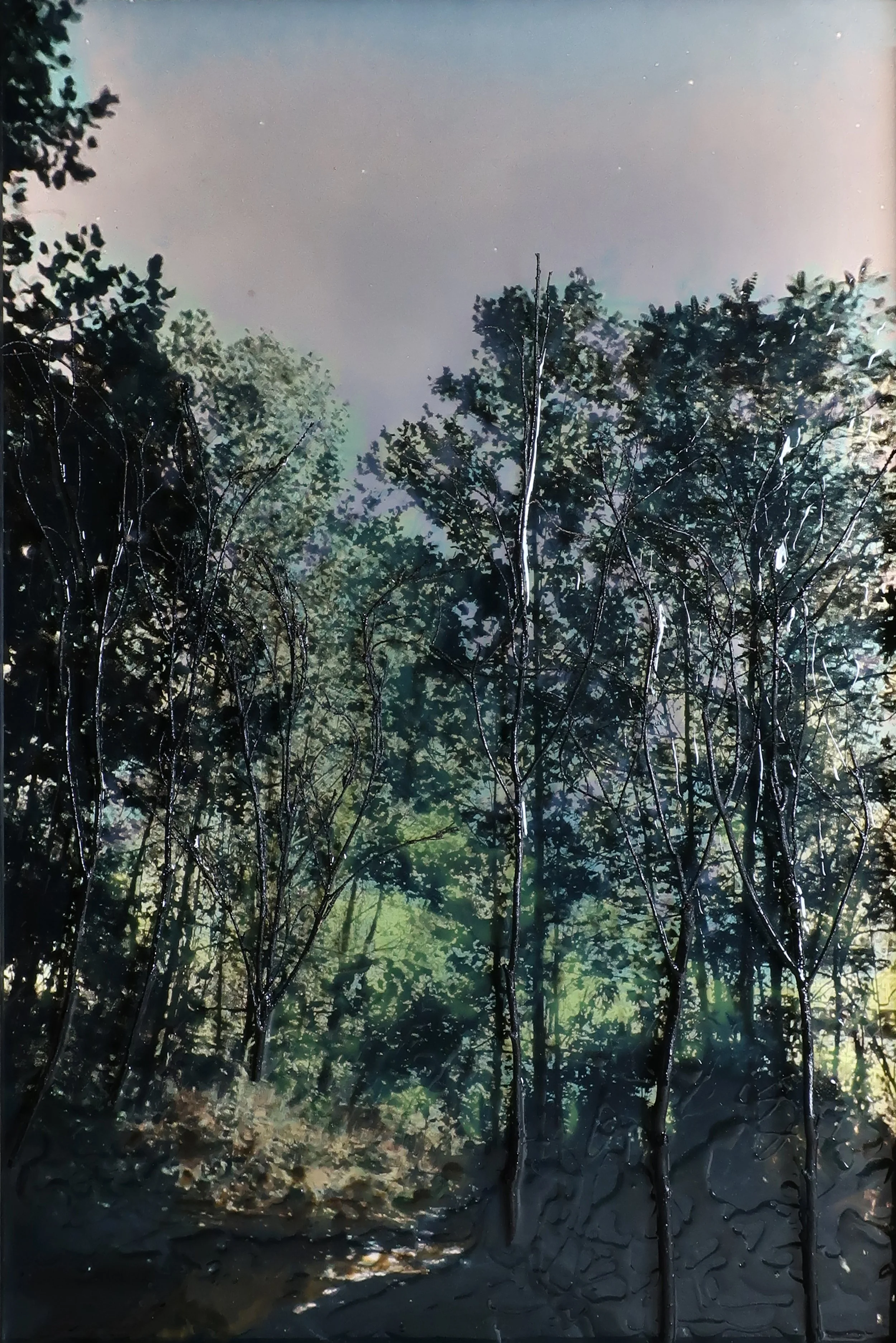 Midnight Creek (SOLD)