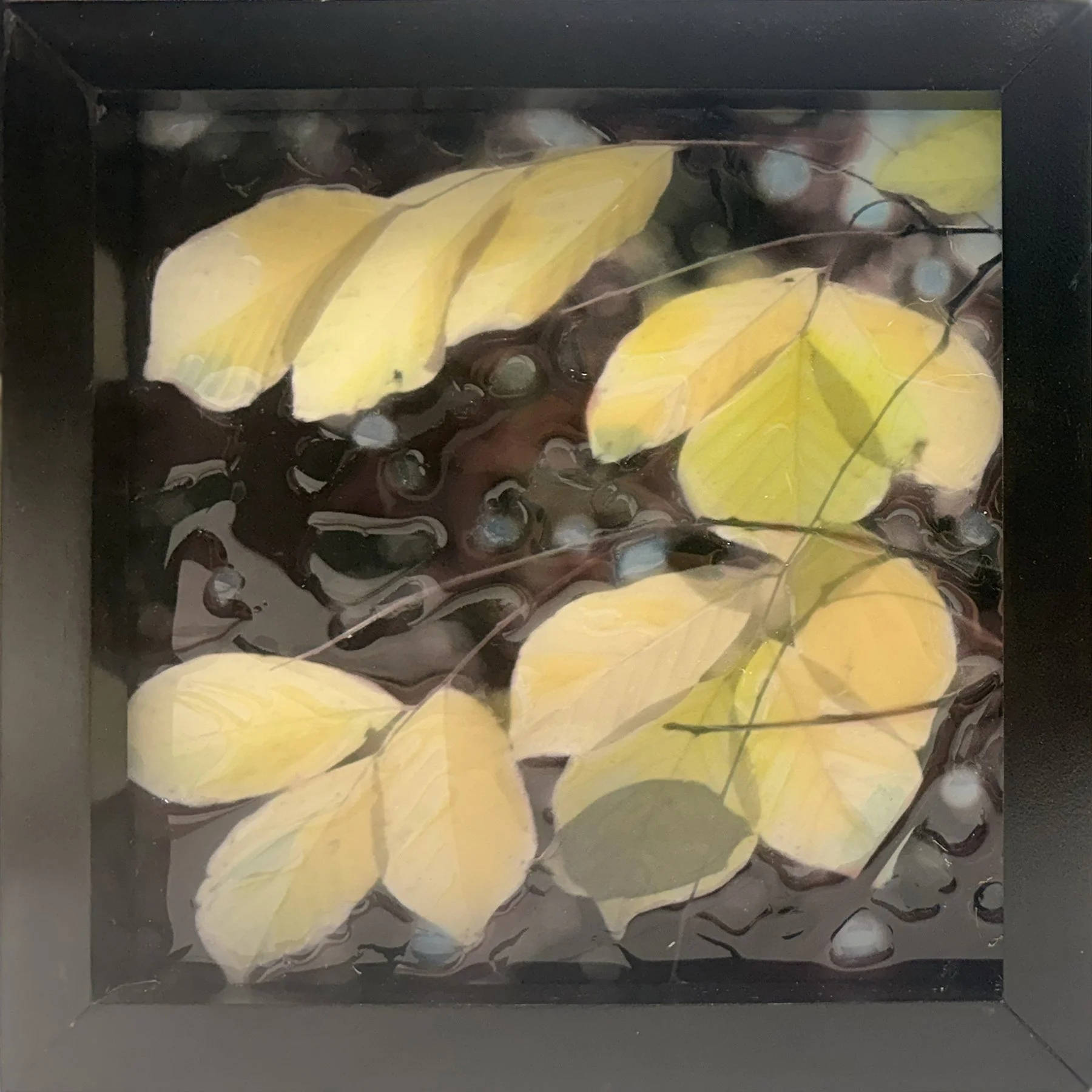 Hackberry $90 9"x9"