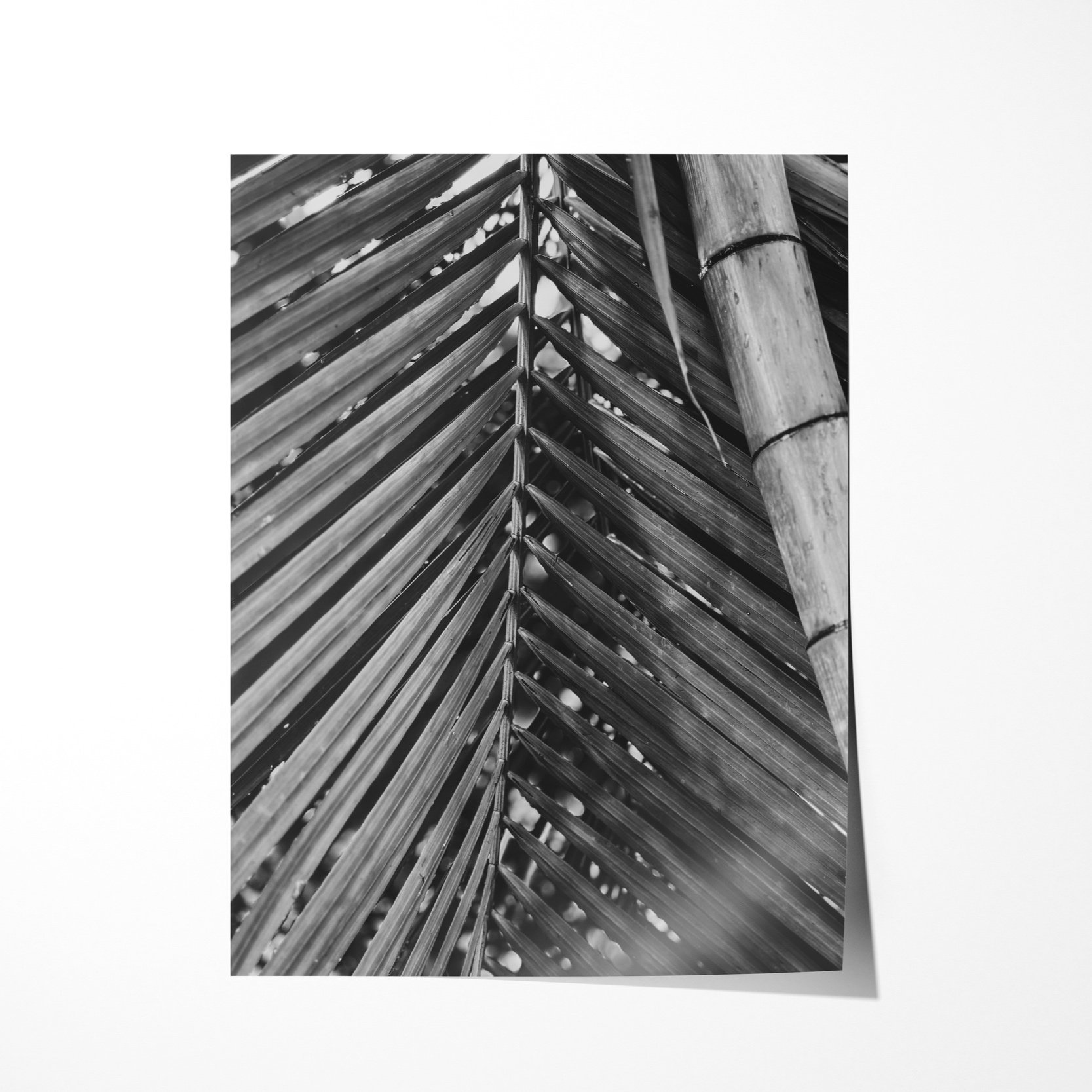 010-print-1.jpg