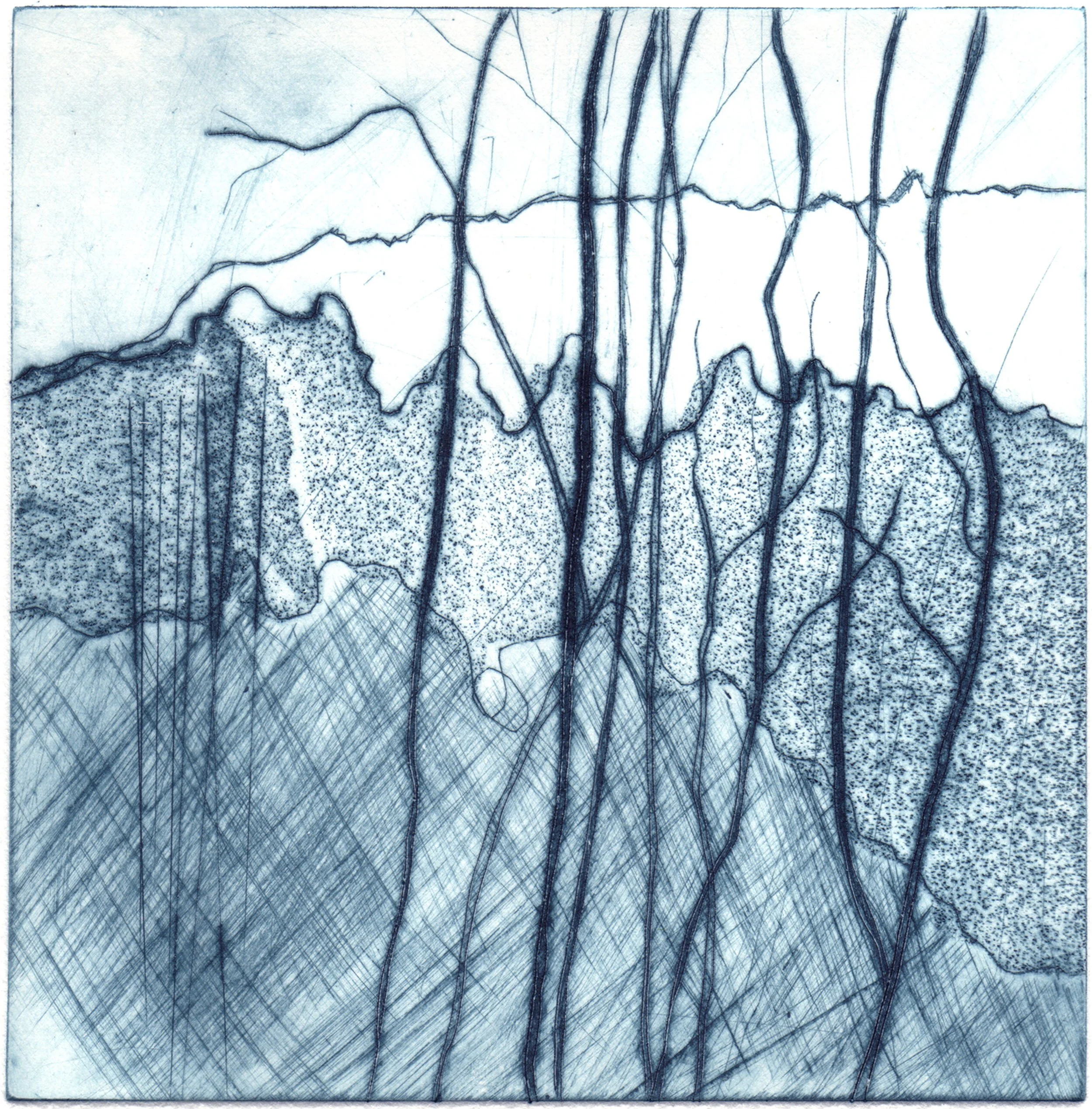 Hayley Cove — Trees in the Valley