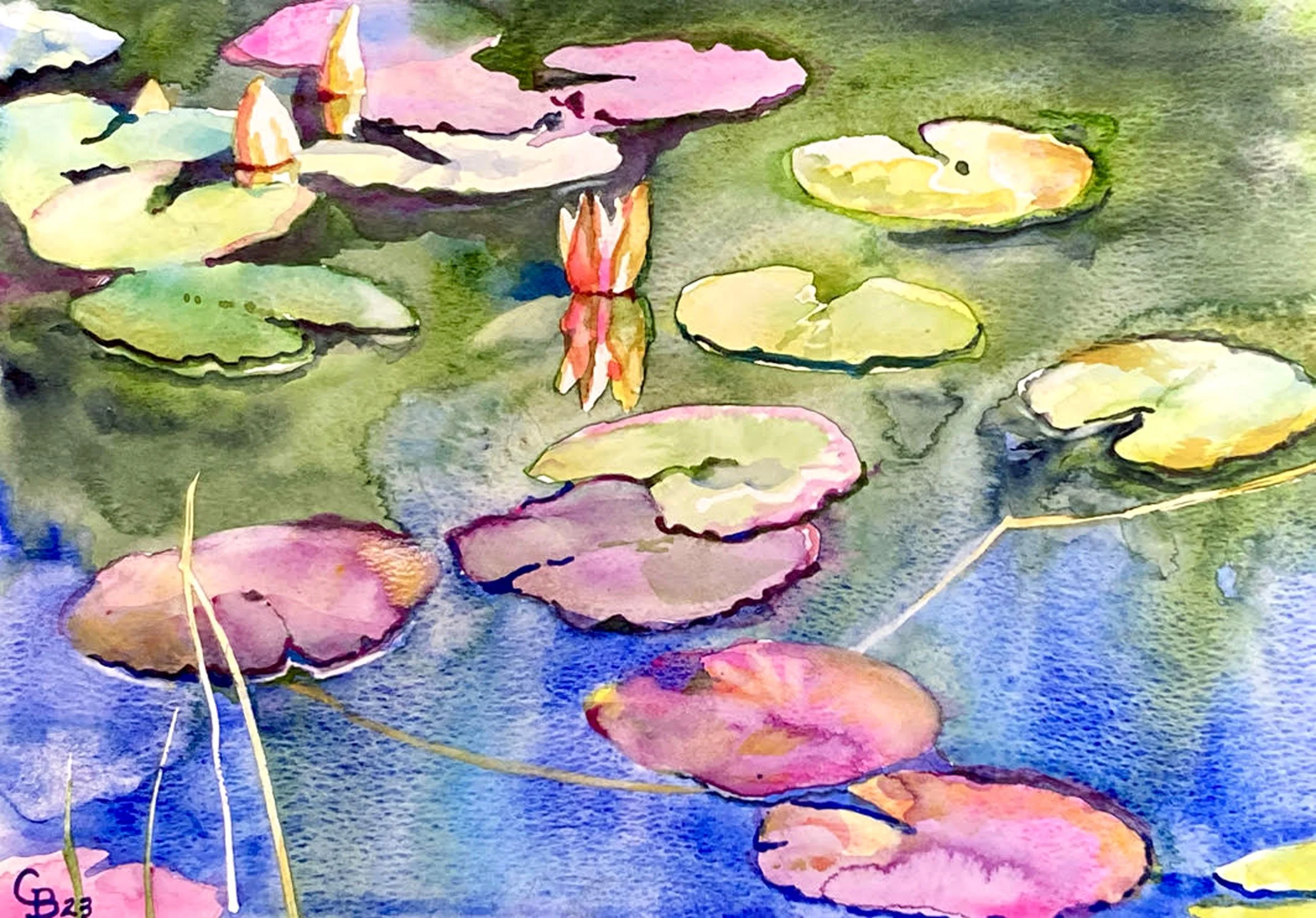Water Lily Sirens
